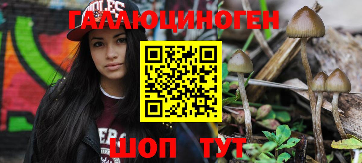 Пенза  Галлюциногенные грибы Psilocybe  Вход с VPN 